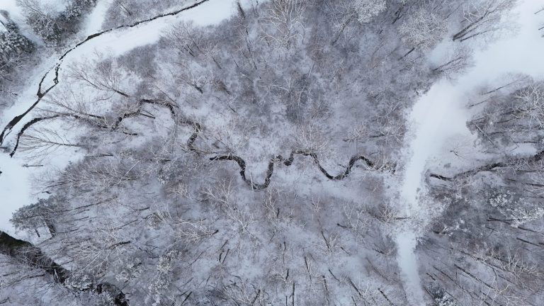 BGCF3672 scaled 1 1 768x432