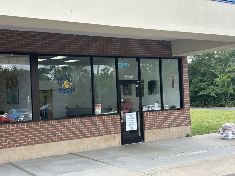 dirty dawgs dogwash findit 768x576