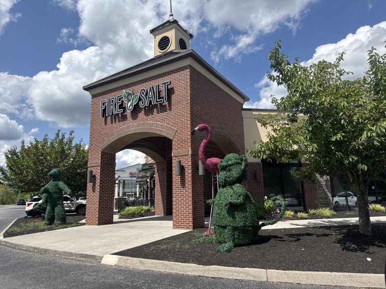 fire salt findit 768x576