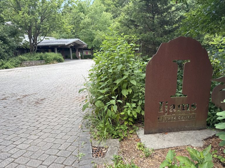 ijams nature center findit 768x576